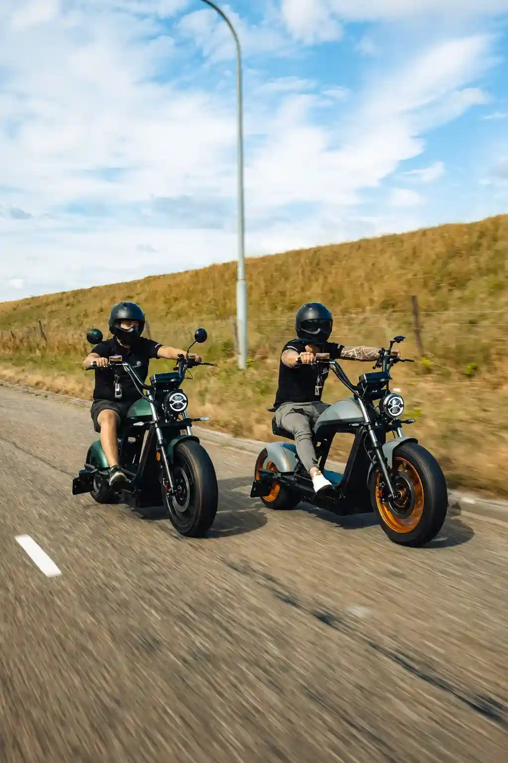 E-Chopper 6.0 Fahrt 45 km/h in grau und grün