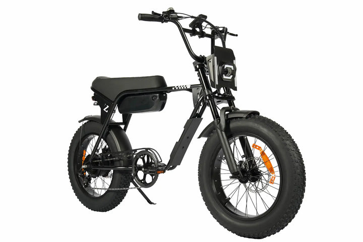 E‑Fatbikes