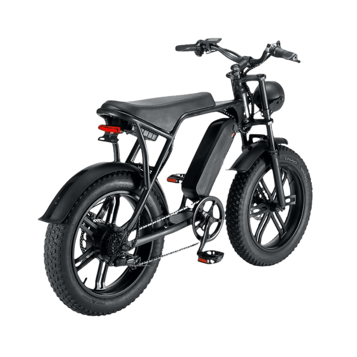 E-Fatbike V6