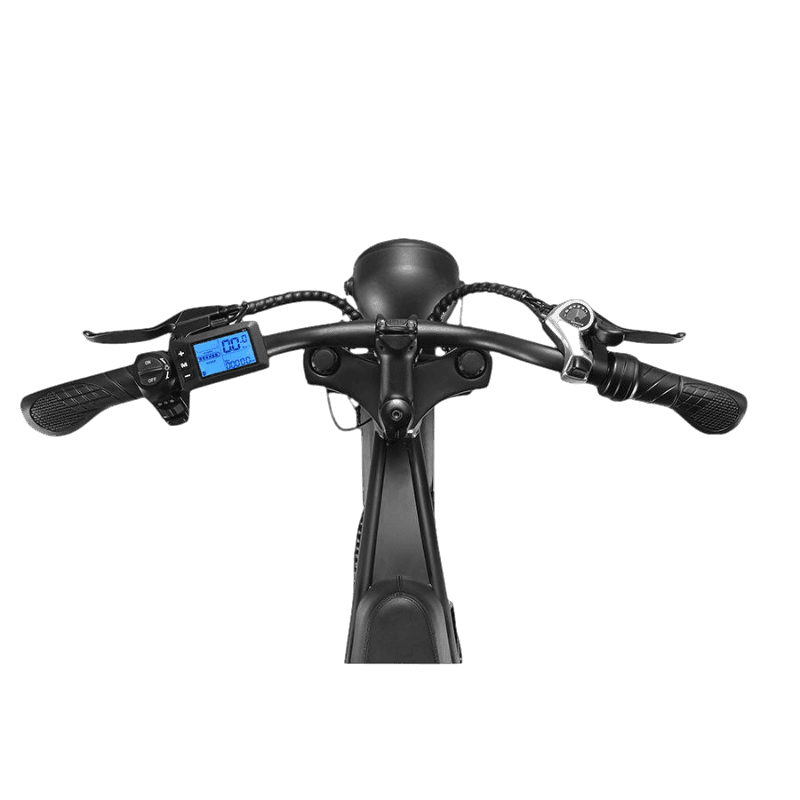 E-Fatbike V6