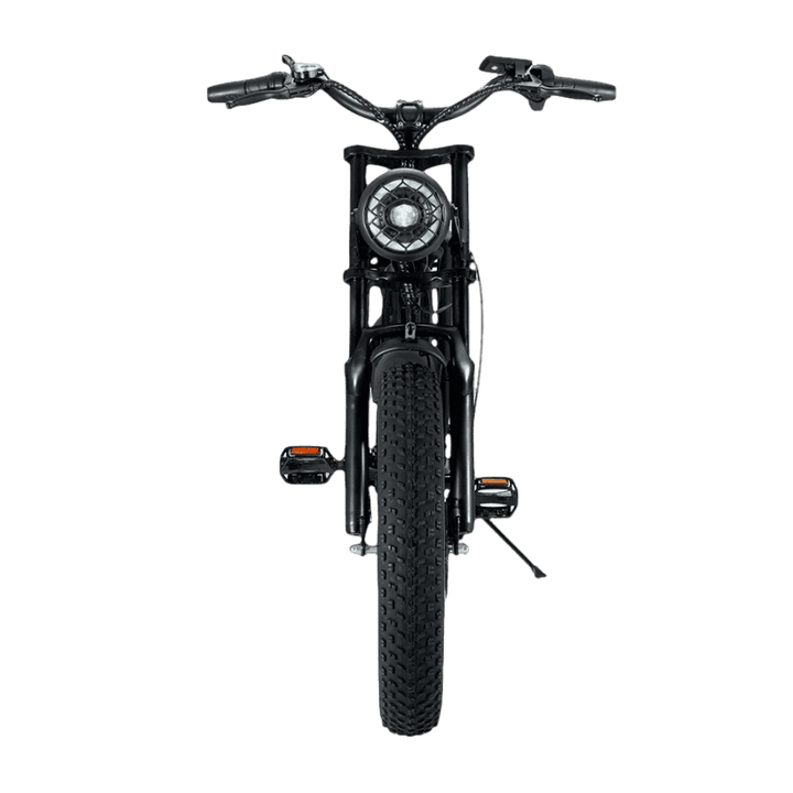E-Fatbike V6